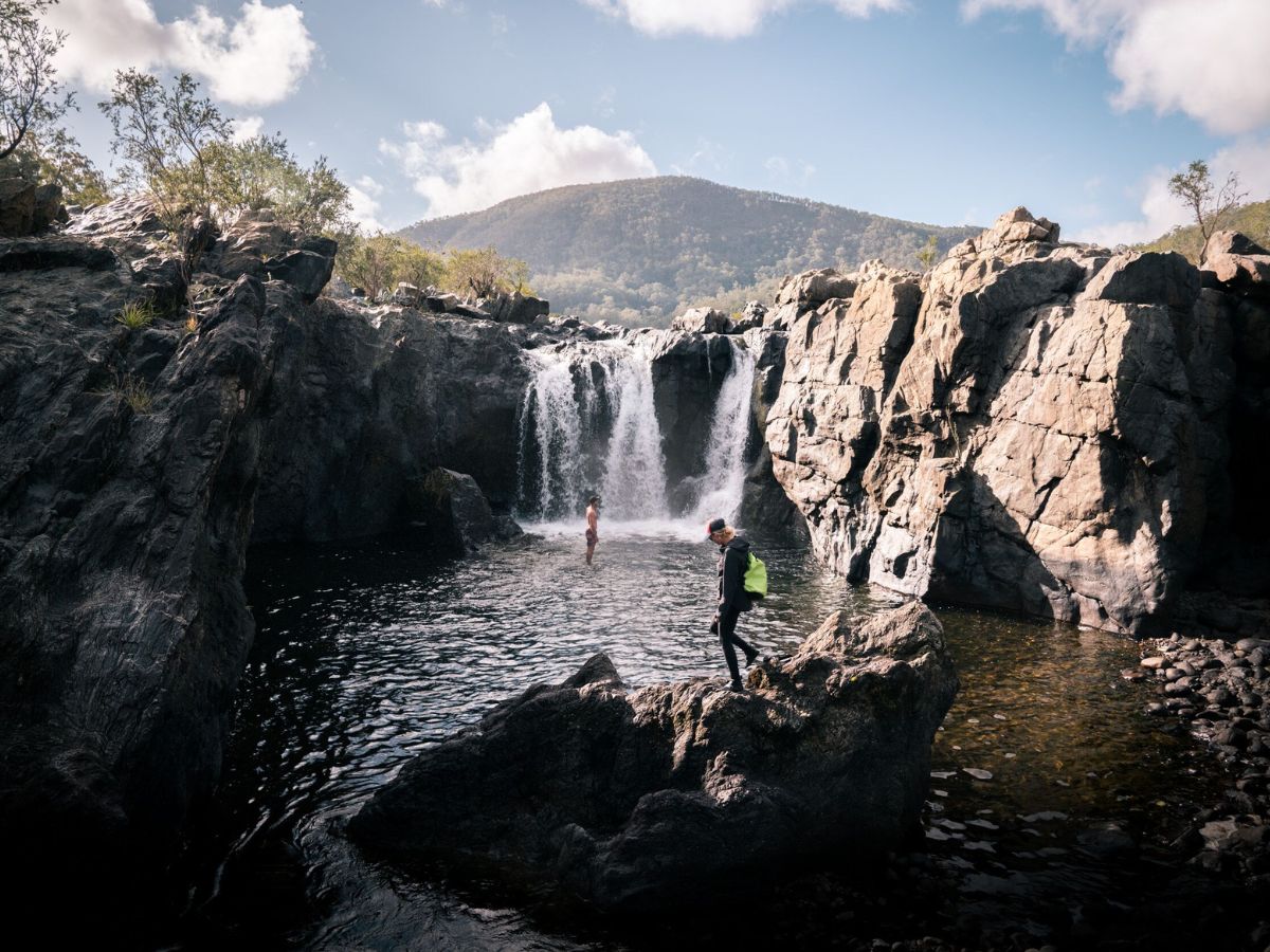 RIVERTREE Film a documentary about the mighty Clarence River.